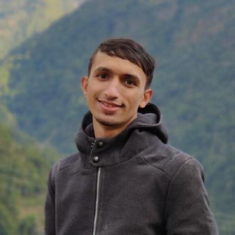 Hari Acharya - Web Developer